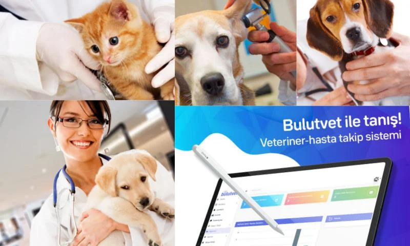 Veteriner İlaç Takip Programı Nedir 